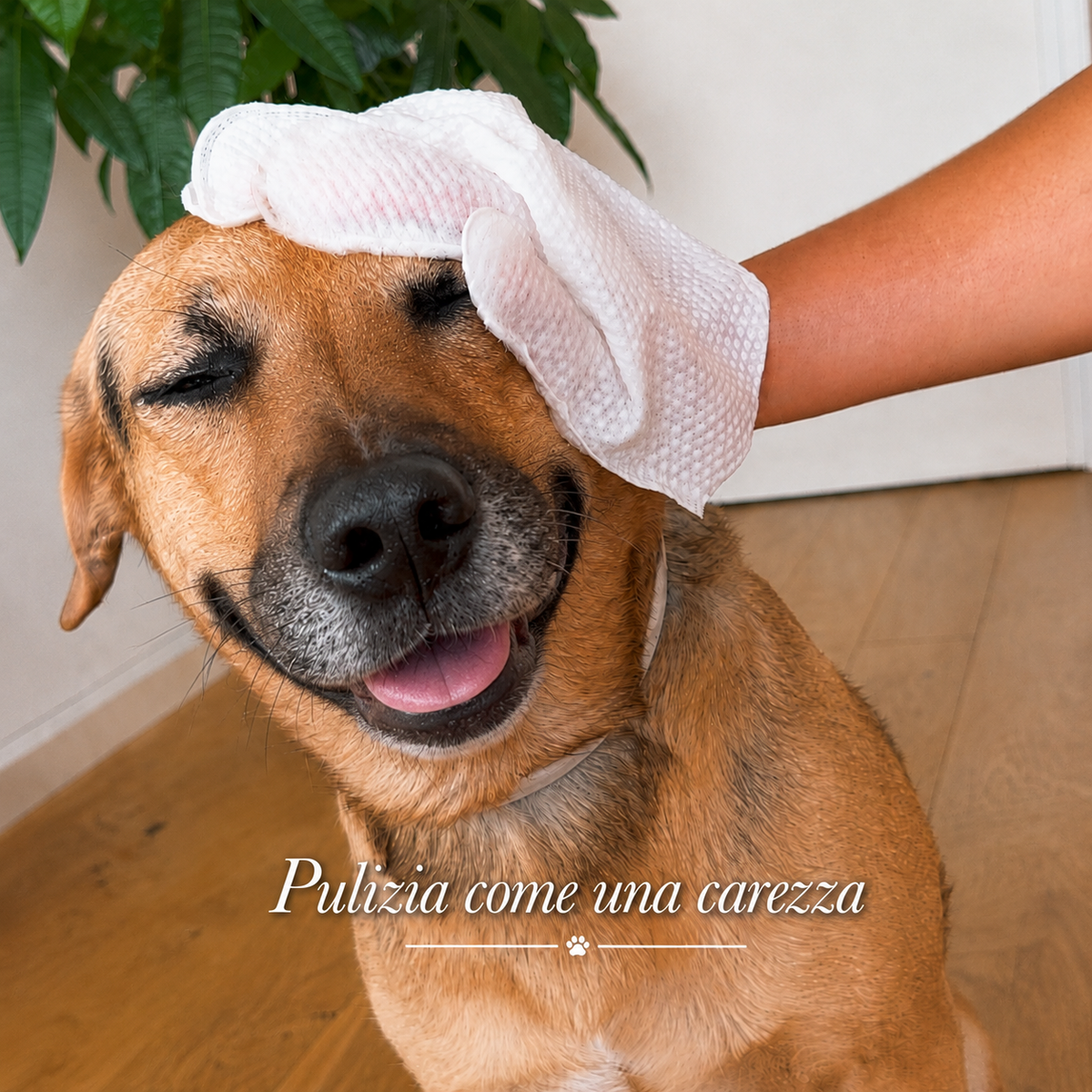 CleanPet™ - Guanto detergente senza risciacquo, pulizia immediata
