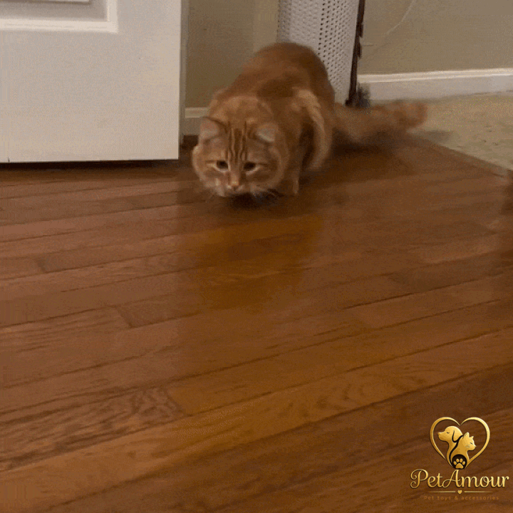 Gatto gioca con topo interattivo ZipMouse PetAmour