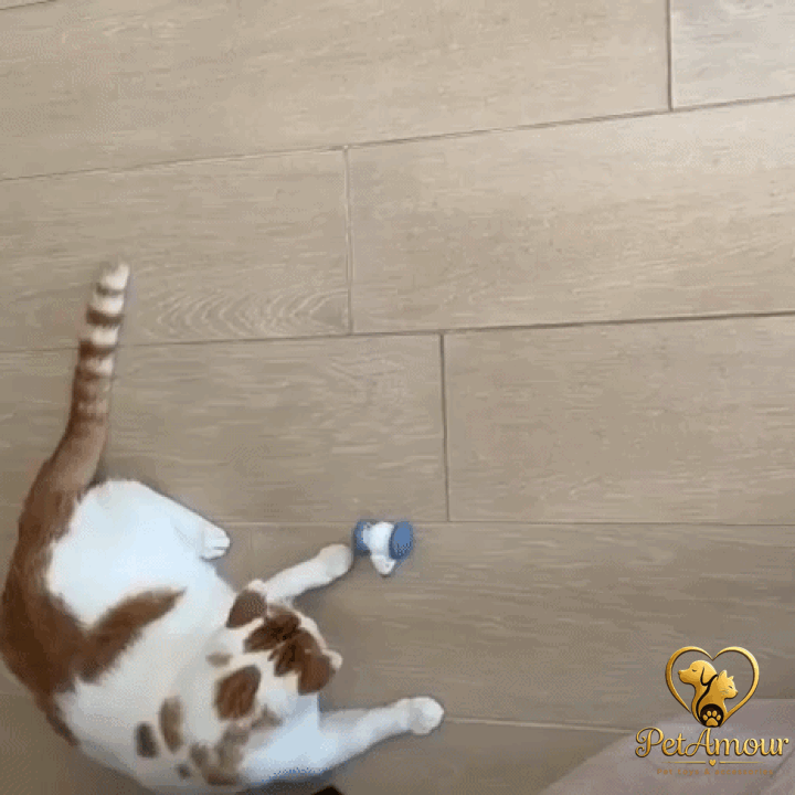 Gioco gatto Zipmouse topo interattivo PetAmour