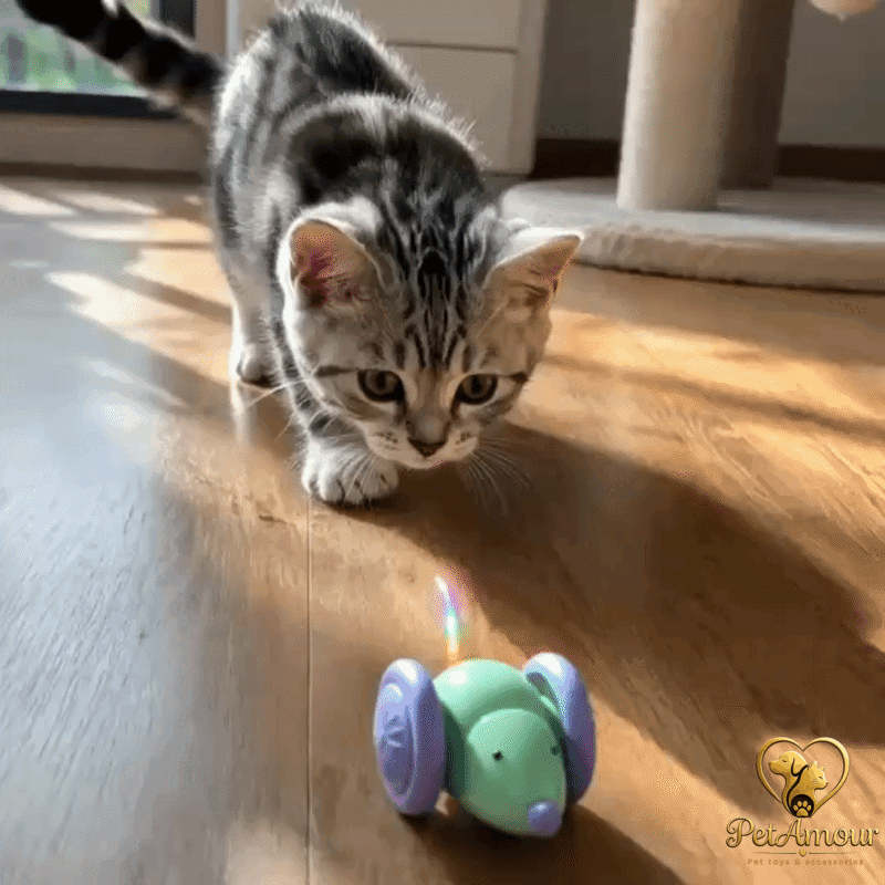 ZipMouse™ - Addio noia: il topo intelligente per gatti attivi e felici